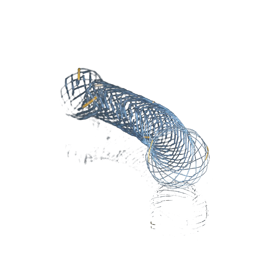 Biliyer Stent Kapsız — görsel 1